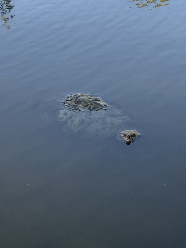 F4E31DED-BC4F-44AA-A858-2466E1E5E155